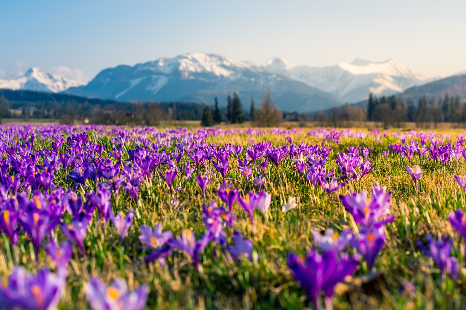 Vysoké Tatry